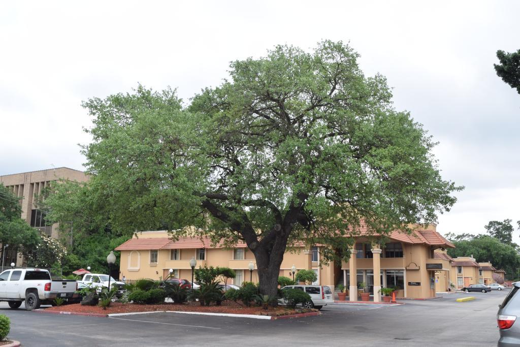 Memorial Inn And Suites Houston Luaran gambar
